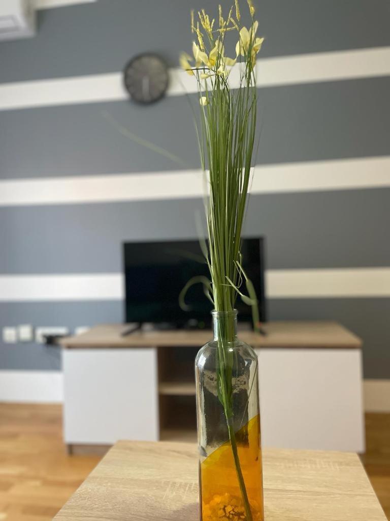 Naki Apartmani Podgorica Zimmer foto